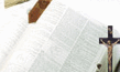 img1.gif