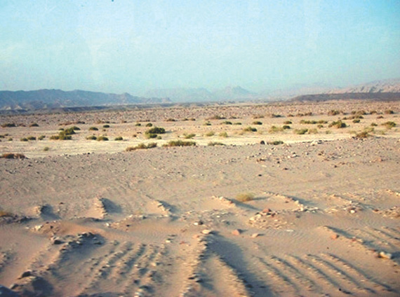 261-6-~1.JPG