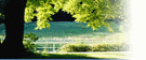 img7.gif