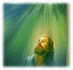 img13.gif