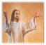 img17.gif