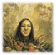 img24.gif